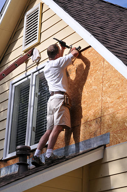 Shed Removal in Waimalu, HI